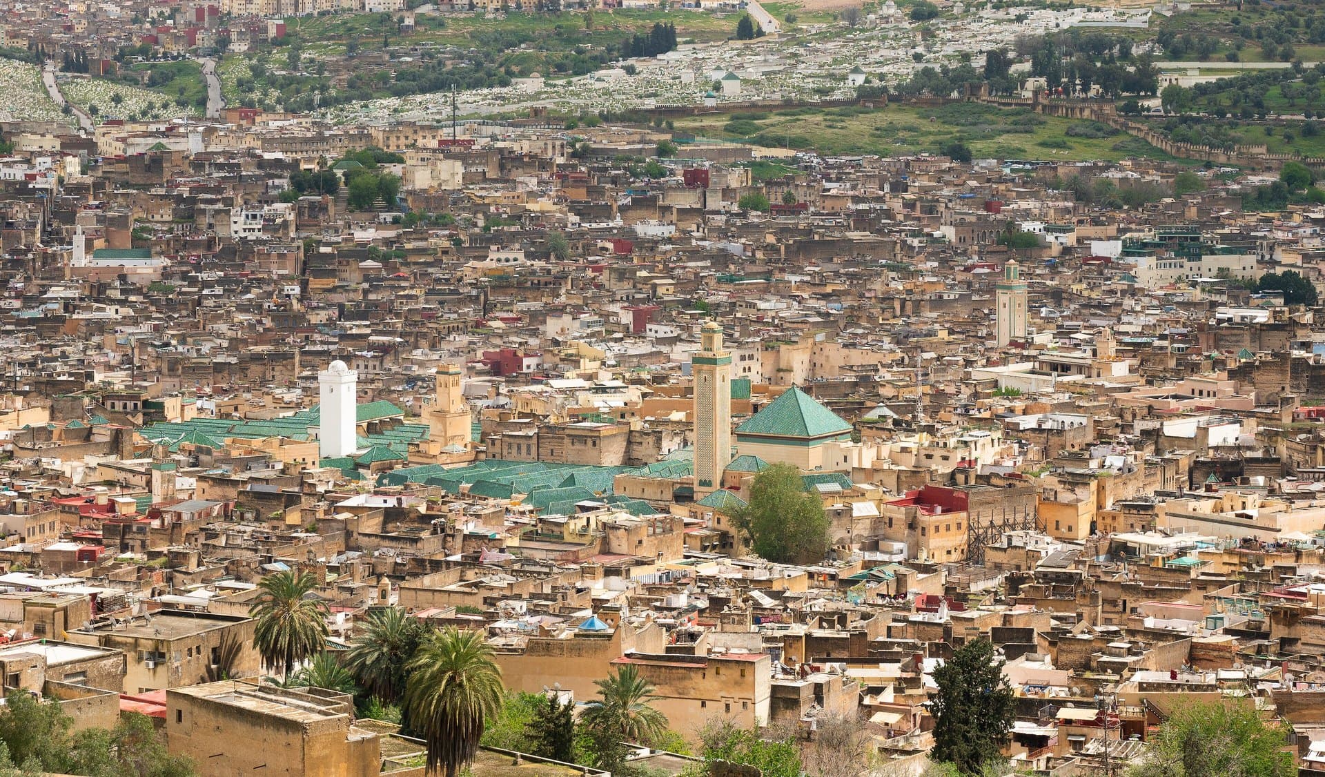 Uitzicht over de medina Fès el-Bali met groene daken en minaretten