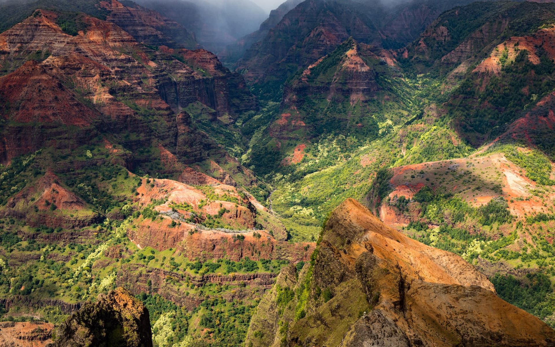 De rode en groene hellingen van Waimea Canyon op Kauaʻi, met diepe ravijnen en een rotsrand op de voorgrond