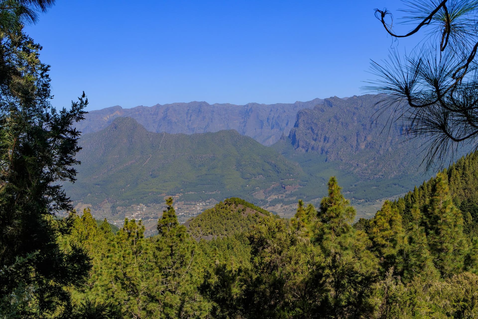 Uitzicht vanaf de Ruta de los Volcanes op de groene bergwanden van de Caldera de Taburiente op La Palma, met dennen op de voorgrond
