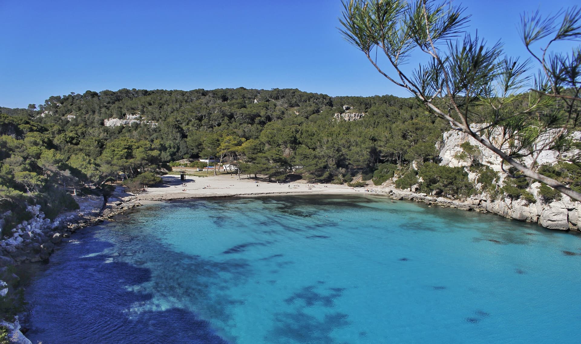 Het turquoise water en het witte strand van Cala Macarella op Menorca, omringd door dennenbossen en kalkrotsen