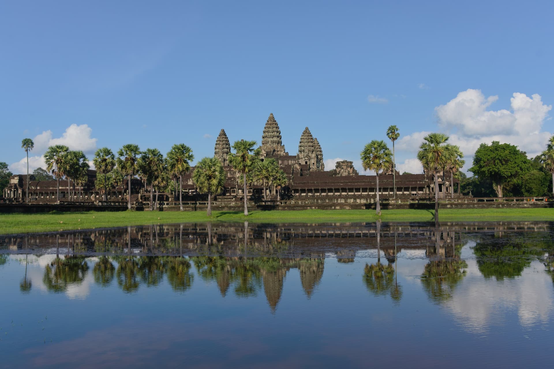 De vijf torens van Angkor Wat bij Siem Reap achter een rij palmbomen, weerspiegeld in de vijver onder een blauwe lucht